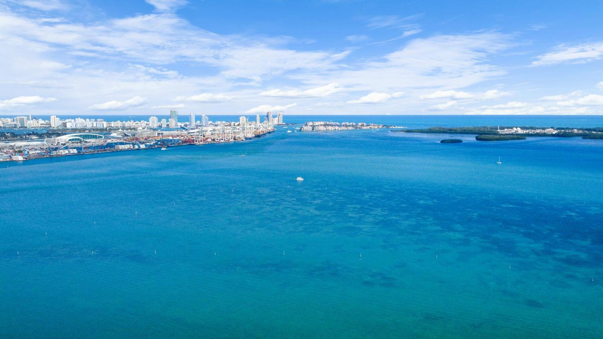Upscale Brickell 3 Bedroom With Water Views And Free Parking Miami Esterno foto